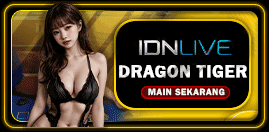Dragon Tiger Live Casino